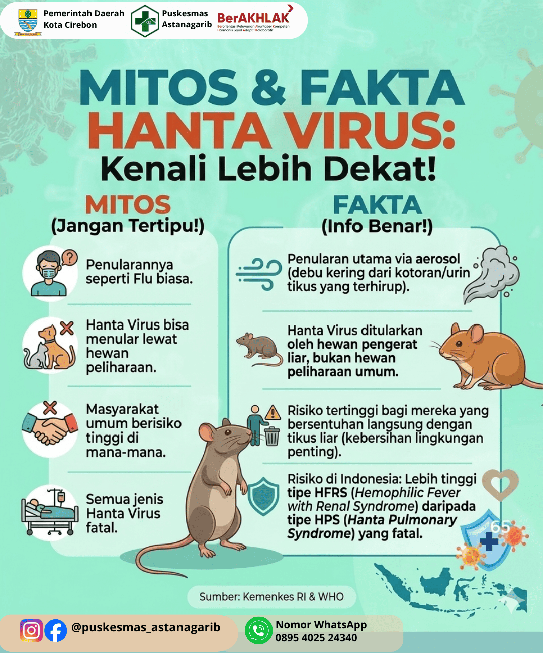 Mitos dan Fakta Hanta Virus