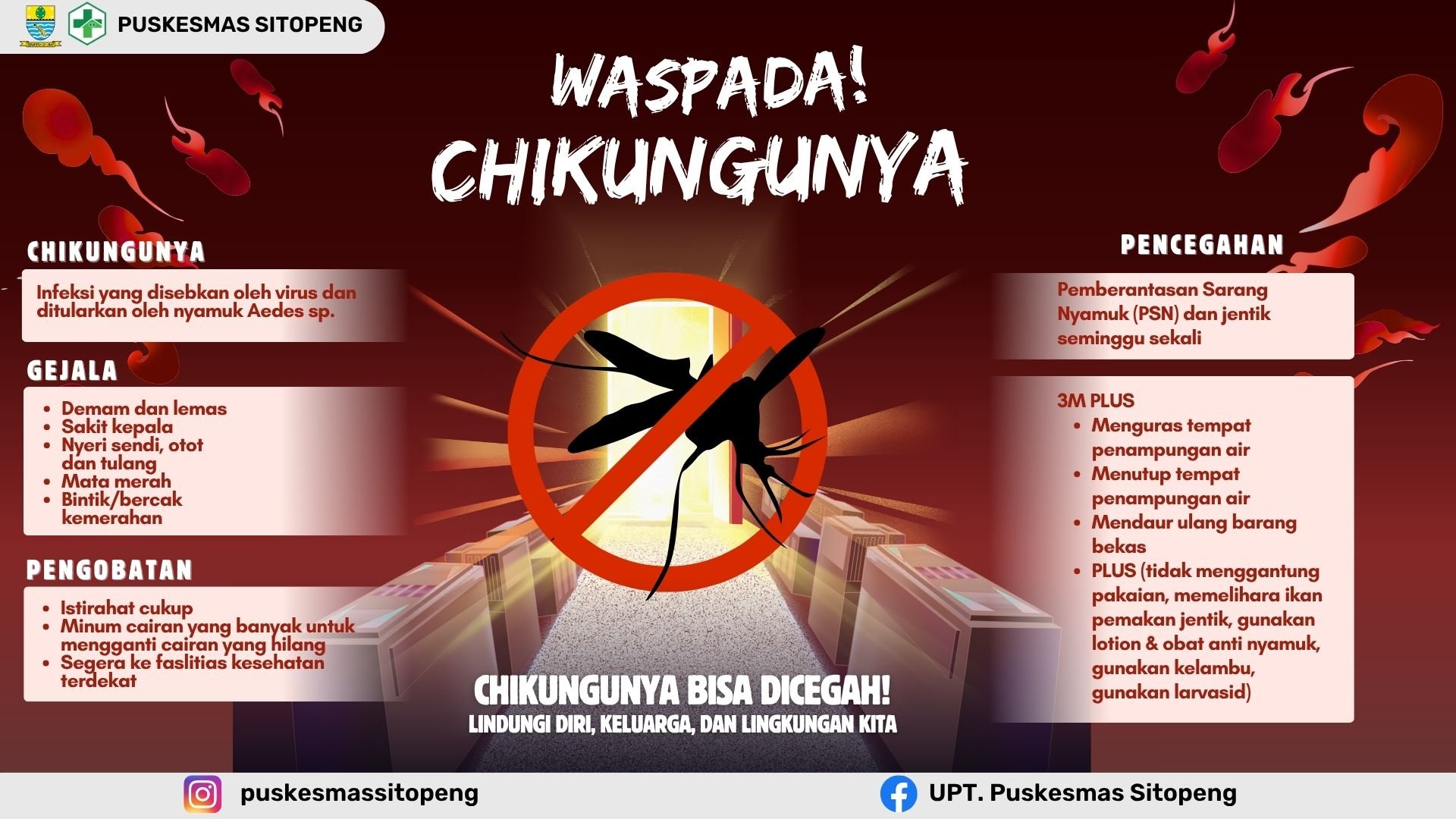WASPADA CHIKUNGUNYA